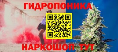 сатива Кимры