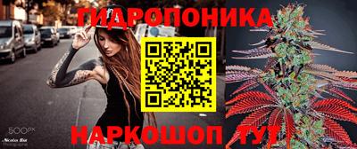 сатива Кимры
