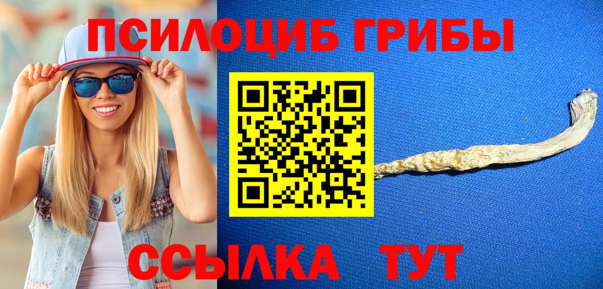 Галлюциногенные грибы прущие грибы  Псилоцибиновые грибы Cubensis  Вход с VPN  купить наркотик  Котлас 